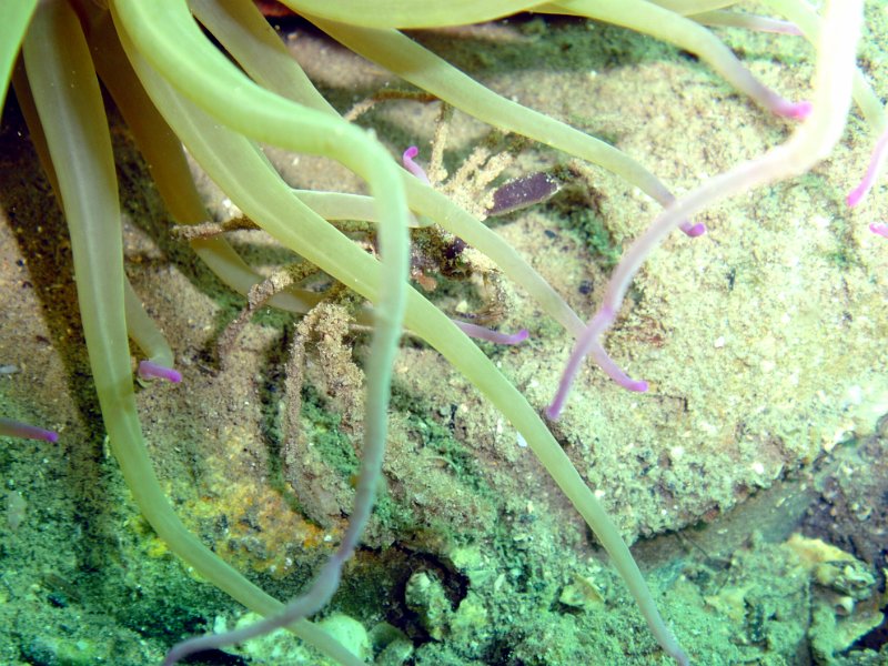 2012-09-08 11-36-04 Ludo.jpg